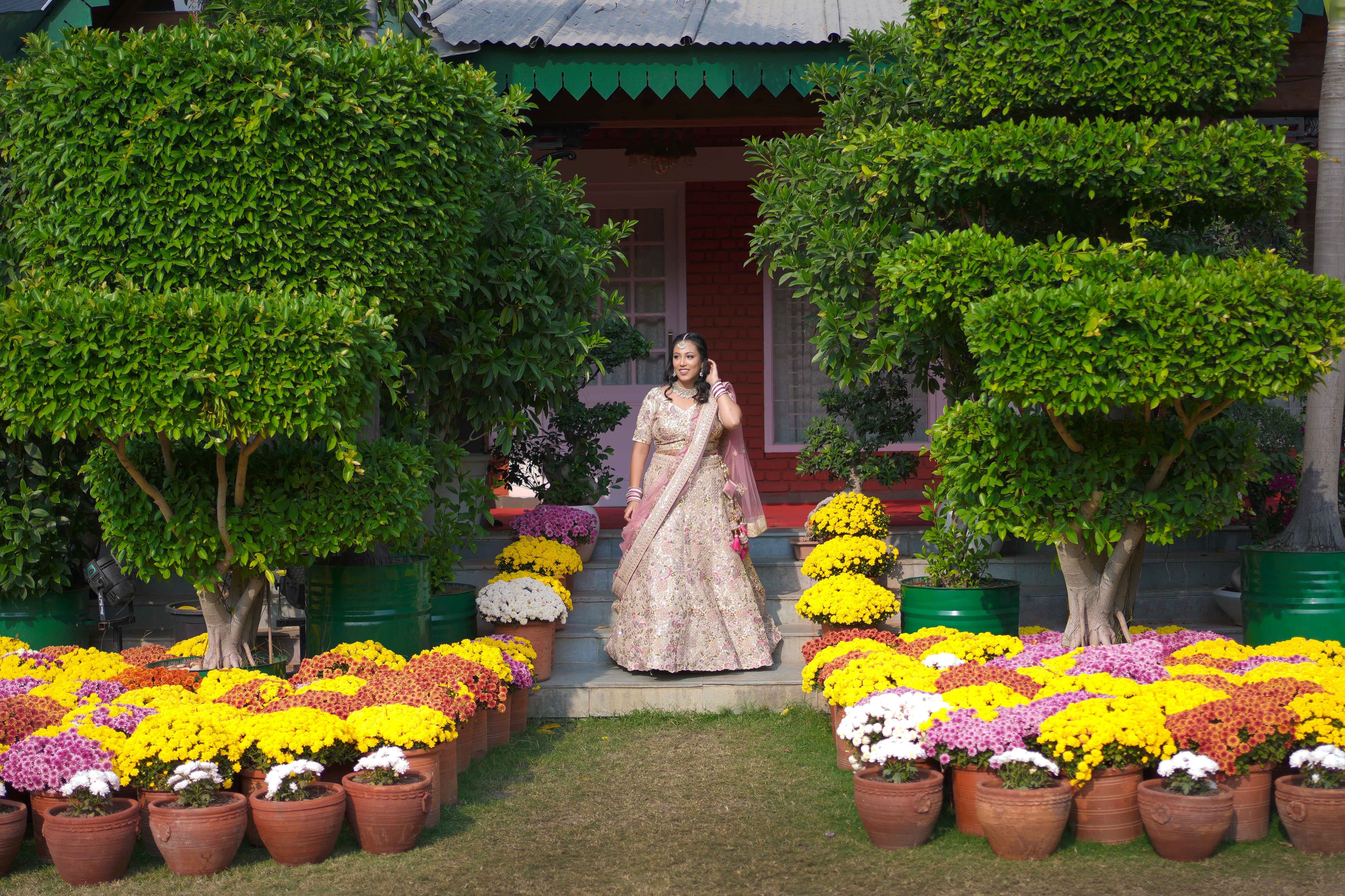 Wedding Photography 3